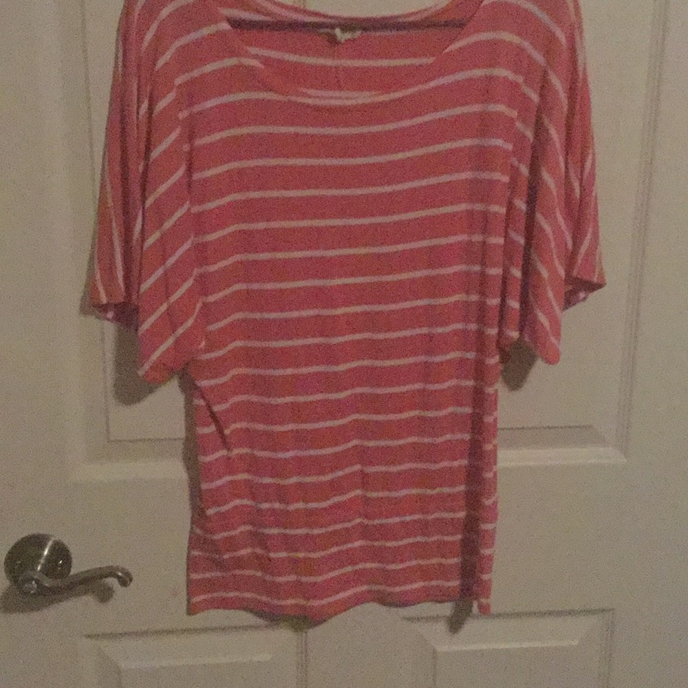 A flying squirrel shirt